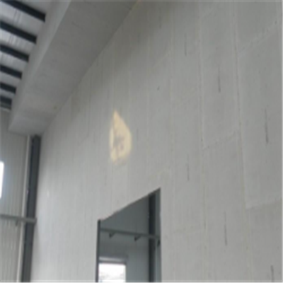 畹町宁波ALC板|EPS加气板隔墙与混凝土整浇联接的实验研讨